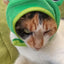 Cute Pet Hat Small Dog Cat Hat Easter Bunny Hat Crab Lobster Frog Cap Pet Party Costume Accessories Headwear for Cat Kitten Pug