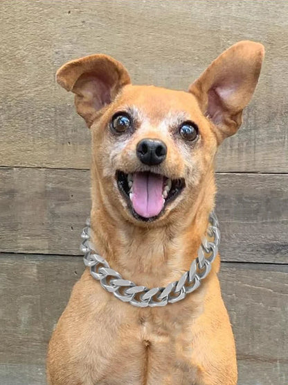 19MM Chew Proof Gold Dog Chain Collar Stainless Steel  Collars with Solid Buckle Pet Chains for Large Dogs