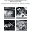 Surround Quadrangle Dog Kennel All-season High Thickened Memory Foam Removable Waterproof Spacious Solid Wear-resistant
