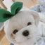 Cute Fruit Pet Costume Dog Clothes for Small Dogs Warm Fleece Doggy Hoodies Pet Dog Cat Clothing Puppy Sweater for Chihuahua Pug