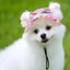 Breathable Dogs Sun Hats Round Brim Dog Visor Hat Outdoor Breathable Sun Protection With Ear Holes Mesh Sun With Adjustable Chin