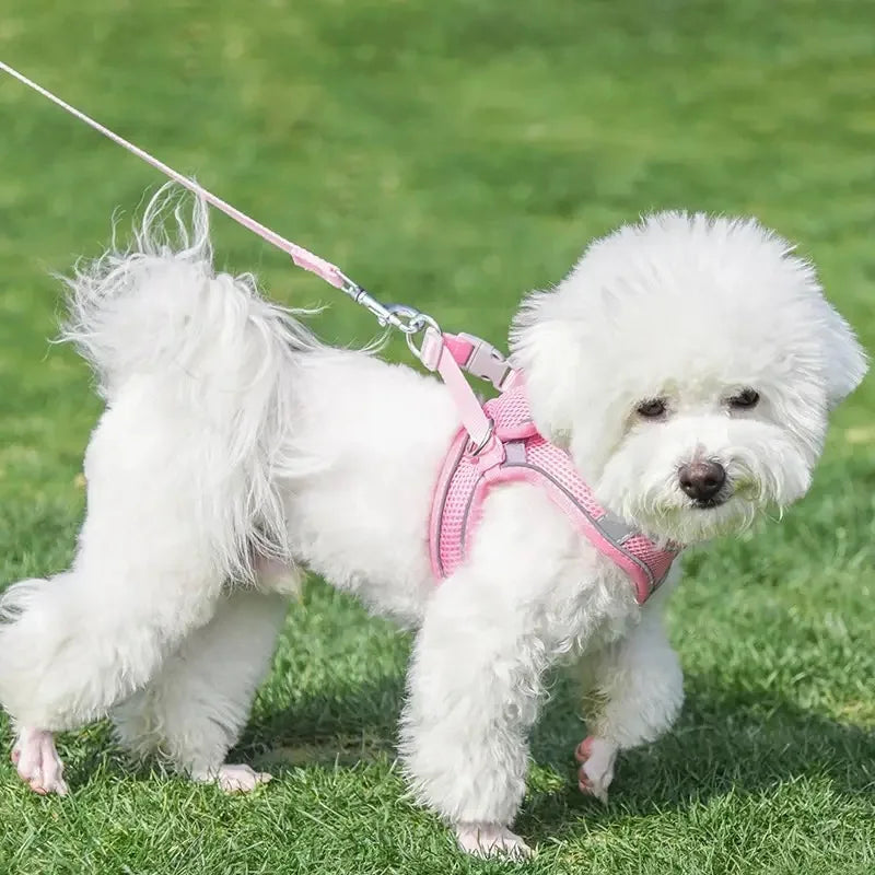 Pet dog Harness Leash Set for Small Dogs Adjustable Puppy Harness Vest French Bulldog Chihuahua dog harness and leash set  puppy
