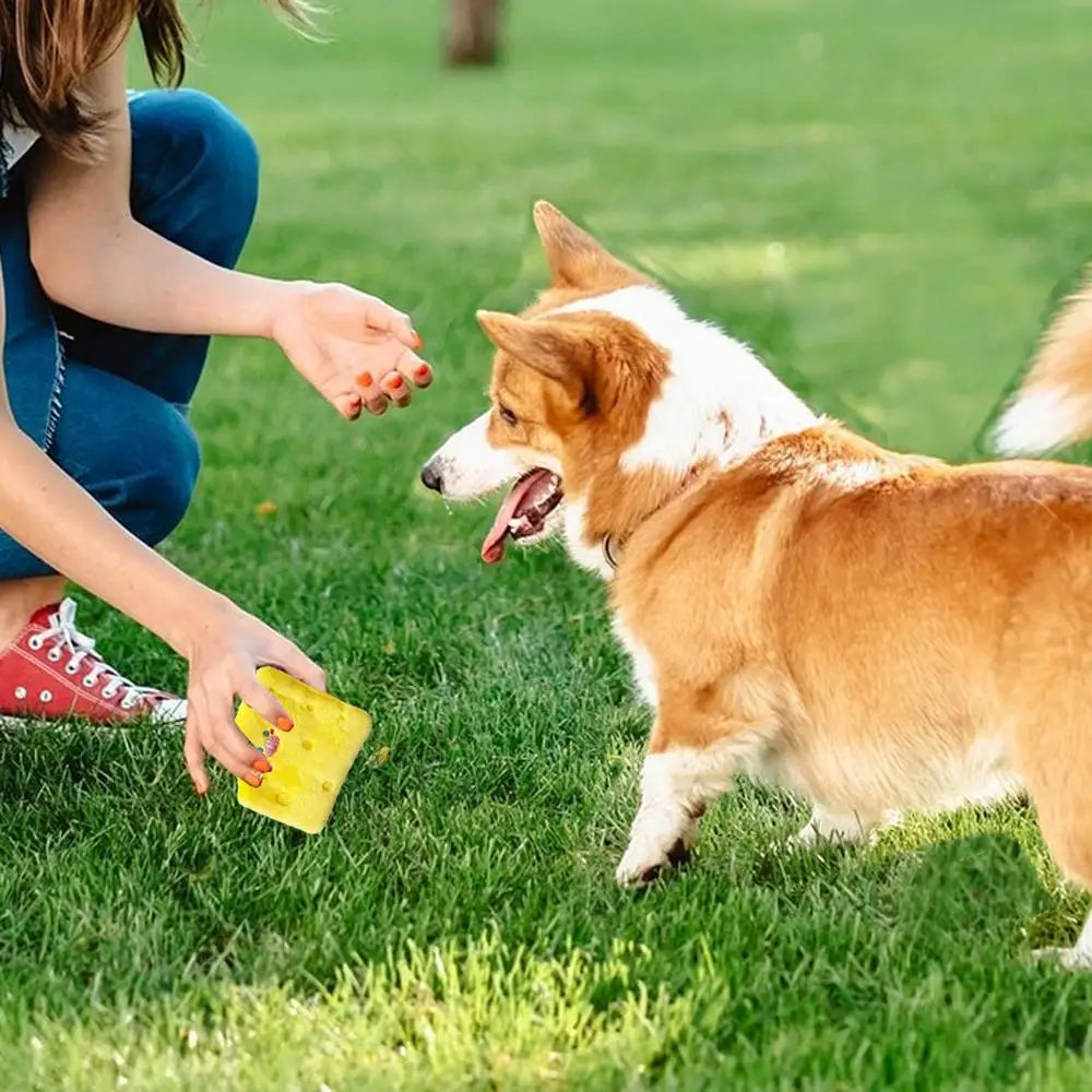 Dog Foraging Toys Pet Teething Foraging Squeaky Toy Interactive Chewing Toys For Indoor Dogs Puppy Reducing Boredom For Bedroom