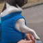 Pet Clothing Dog Fleece Vest Cold Weather Pullover Dog Jacket Winter Dog Clothes Sweater Coat with Leash Ring for Small Dogs Cat