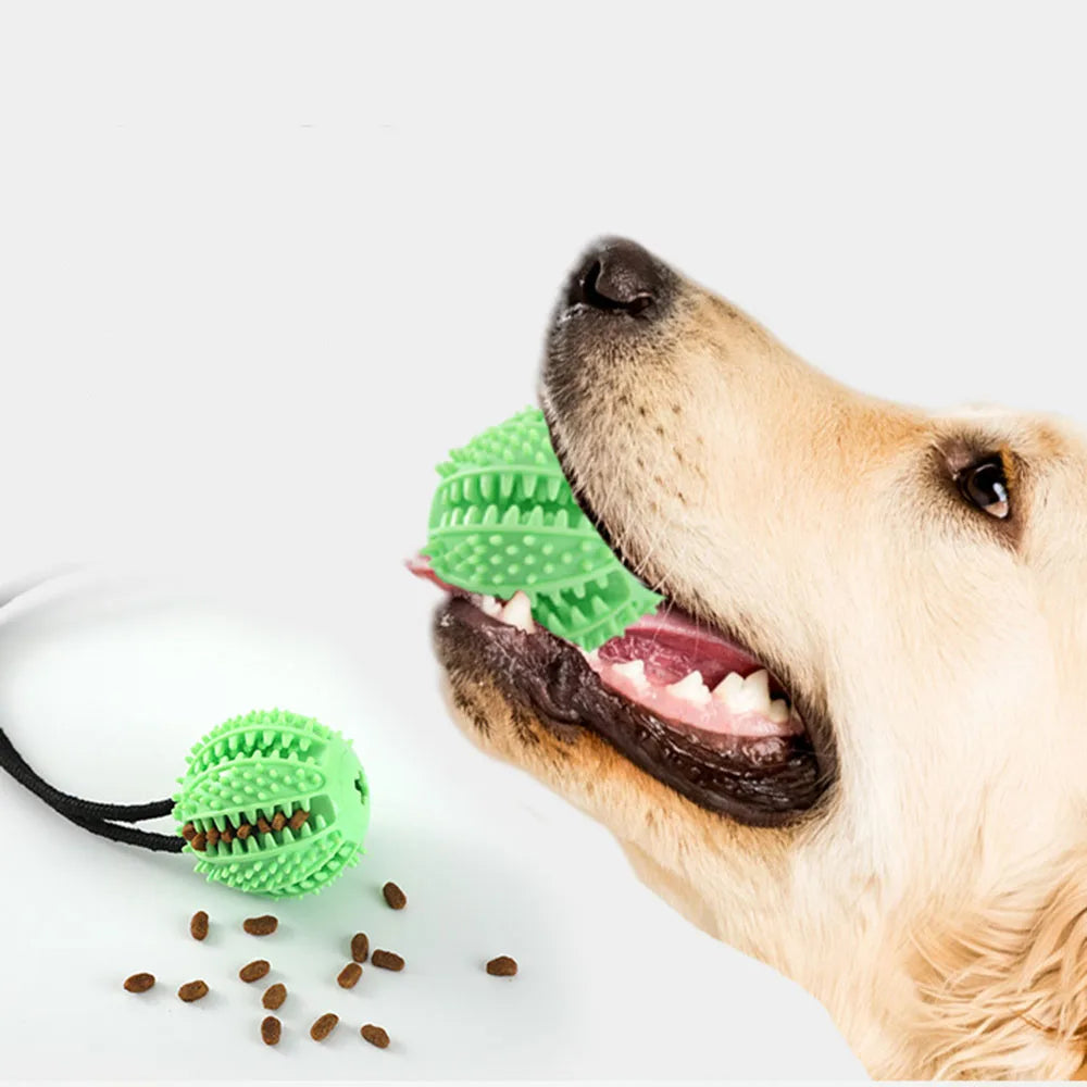 Dog Chew Ball Toys for Aggressive Chewers Interactive Dog Puzzle Toy Food Dispenser Suction Cup Dog Tug Toy for Dogs Teeth Clean