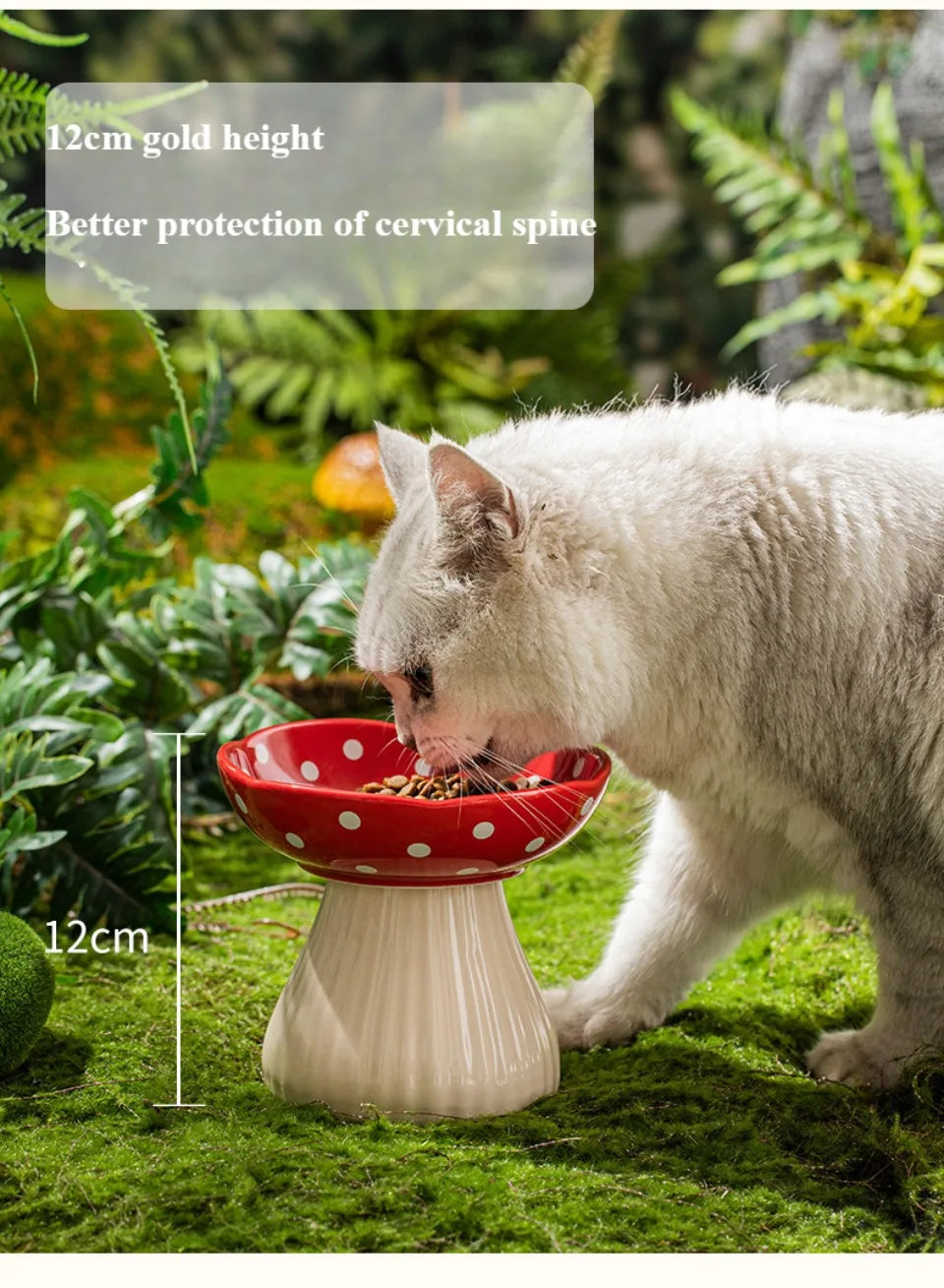 Mushroom Cat Bowl Cute Polka Dot Safe Ceramic Elevated Cat Feeder for Cats and Dogs Drinking Water Bowl Cat Feede Pet Supplies