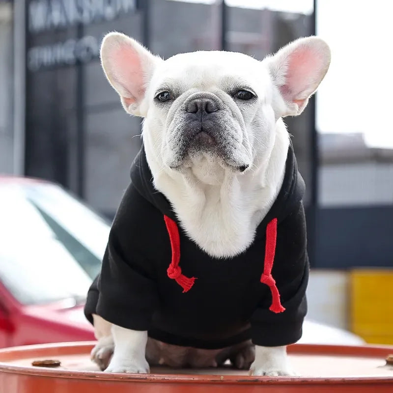 Warm Cotton Pet Dog Clothes Letter Dog Hoodie Design Cool Dog Pullover For Puppy Small Medium Dogs Chihuahua Coats