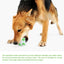 Puppy Teething Toys Fun Tough Innovative Chew Toys Rubber Dog Toys Gentle Professional Puppy Dog Chew Toys For Teething