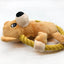 Squeaky Dog Toys for Small Medium Dogs, Pig Duck Bear Shape Puppy Teething Toy with Cotton Rope Animals Plush Interactive Toy