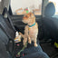Dog Car Leash Seat Belt Attachment for Dogs Cats Pets Adjustable Safety Elastic Lead Harness for Cars with Elastic Nylon Buffer
