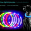 Pet Dog Led Light Collar Luminous Anti-Lost Dog Collar USB Rechargeable Dog Necklace Collar
