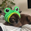 Cute Pet Hat Small Dog Cat Hat Easter Bunny Hat Crab Lobster Frog Cap Pet Party Costume Accessories Headwear for Cat Kitten Pug