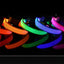 Dog Collar Nylon LED Night Safety Flashing Glow In The Dark Pet Dog Leash pet Dogs Luminous Fluorescent  dog accessories collar