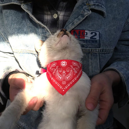 Small Dog Cat Bandana Collar Adjustable Puppy Dog Kitten Neckerchief PU Collar with Printed Triangular Scarf Pet Collar for Cat