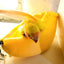 Cute Hamster Bird Cage Hammock Winter Warm Little Pet House Home for Sugar Glider Chipmunks Parrot mascotas Sleeping Bags Beds