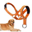 Mouth Leashes for Dogs Padded Adjustable Dog Head Harness Leader Leashes for Dog over Mouth Training Leashes Dog Head Collar