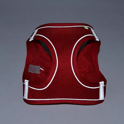 Harness Set For Small Dogs