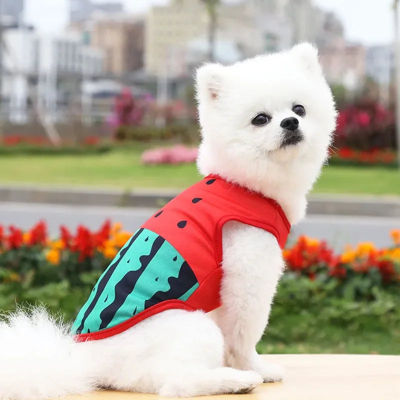 Breathable Pet Dog Clothes Summer Dog Vest For Small Dog Cute Camouflage Vest Spring and Summer Tshirt Bulldog Apparel Chihuahua