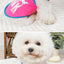 Cartoon Print Summer Pet Dog Clothes Daisy Animal Lightweight Spring Vest for Cat Medium Big Pet Supplies XXL Puppy Clothing