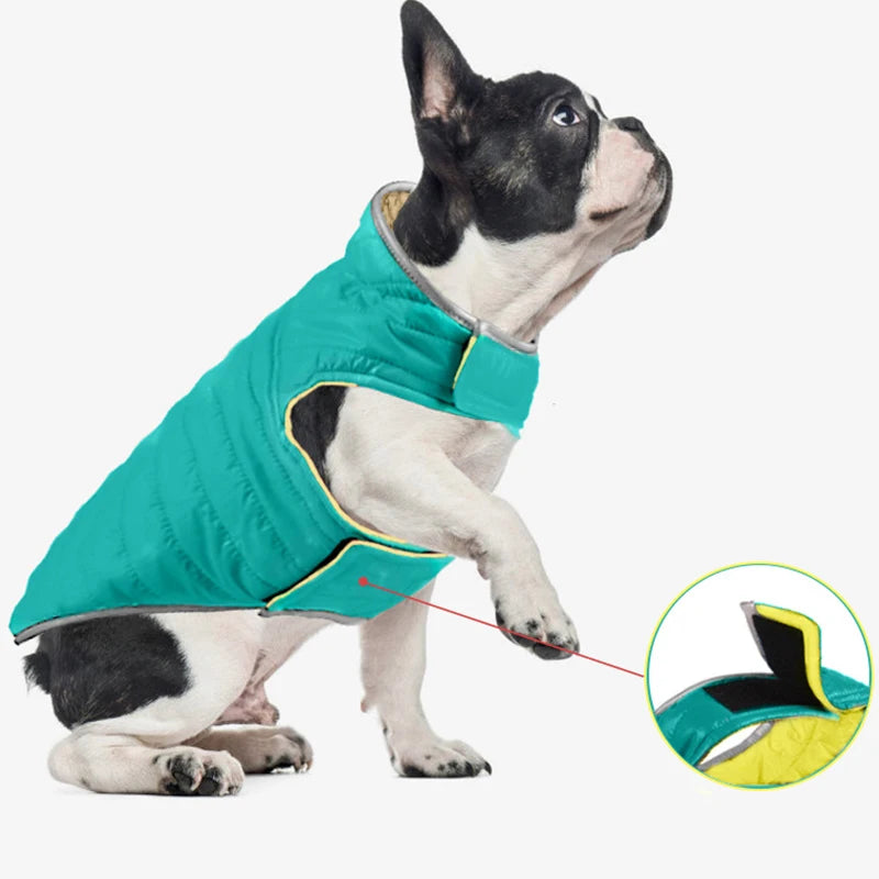 Warm Chihuahua Clothing Jacket Dog Winter Jacket for York Small Large Dog & Puppy Winter Bulldog Clothes Dog Coat Pet Clothes