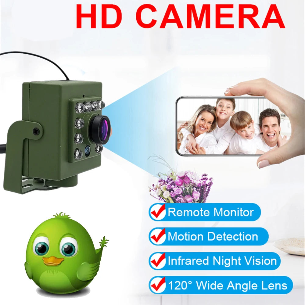 Green Wifi Bird Box Camera Audio 1920P 1080P IR CUT Night Vision RTSP FTP Mini IP IPC Pet Nest Bird Watching 2.8mm lens Camhi