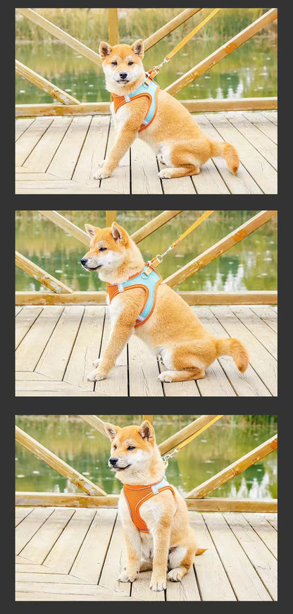 Pet Dog Cat Harness Escape Proof Safe Cat Vest Harness for Walking Outdoor Reflective Step-in Soft Mesh Pet Jacket