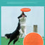 Multicolor Frisbeed Dog Toy  Fashion Pet Dog Silicone Game Flying Discs Trainning Interactive Toys Pet Supplies Flying Disc