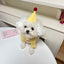 Pet Dog Vest Kitten Puppy Summer T- Shirt Solid Dog Clothes for Small Dogs Cat Dog Birthday Party Festival Accessories Apparels