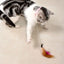 Interactive Cat Toys Funny Feather Teaser Stick with Bell Pets Collar Kitten Playing Teaser Wand Training Toys for Cats Supplies