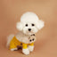 British Style Dog Winter Clothes Pet Clothes for Small Medium Dogs Teddy Chihuahua Puppy Pet Teddy Bib Windbreaker Cloak