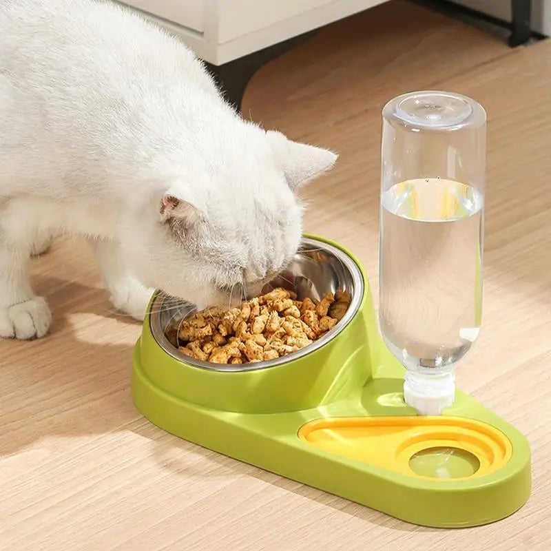 Elevated Cat Bowls Dog Feeder Cat Food Dishes Dog Food And Water Bowl Set Tilted Pet Food Bowls For Indoor Pet Cats Dogs Kittens