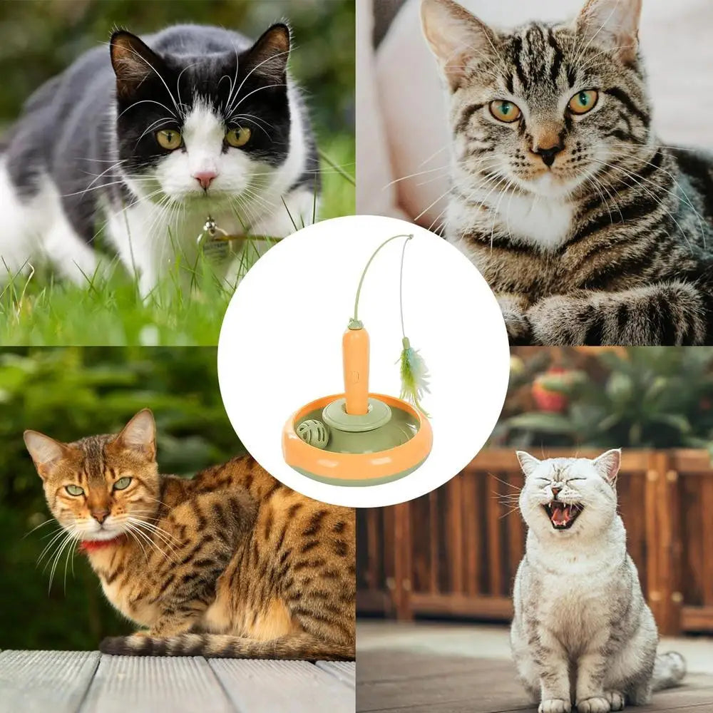 Electric Cat Toy Funny Cat Toys Cat Feather Teaser Multifunctional Indoor Cat Interactive Toy Reusable Electric Kitten Playing