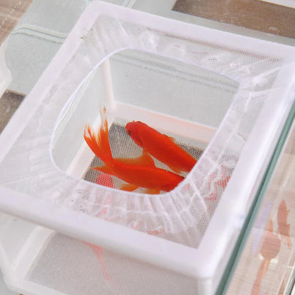 Plastic Aquarium Fish Breeding Isolation Box Fish Tank Aquarium Breeder Hatching Incubator Fish Tanks Isolator Accessories New