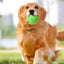 Pet Toys Dog Chew Toys Tooth Cleaning Treat Squeaky Ball Extra-tough Interactive Ball Puppy Food Leaking Pet Sound Ball Toy