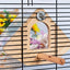 Parakeet Nesting Box Wood Bird Cage House Easy To Clean Transparent Bird Nesting Box For Budgie Bird Breeding Box