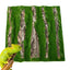 Reptile Cork Terrarium Background Lizard Habitat Decorations Bark Backdrop Reptile Habitat Decor With Artificial Moss for Gecko