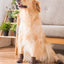 Premium Anti-Slip Dog Socks 4pcs Indoor Dog Socks Prevents Licking Slipping Great for Dog Paw Protection for Medium Large Dogs