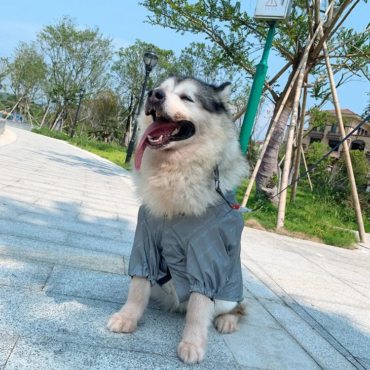 Pet Clothes  Pets Acessorios  Dog Clothing  Dog Costume Parent-child Wear Spring and Autumn One Color Eight Sizes
