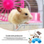 11Pcs Combination Hamsters Rabbit Toys Tunnel Set Toy Hamster Toys Set Pet Rabbit Guinea Pig Parrot Play Molar Wooden Supplies