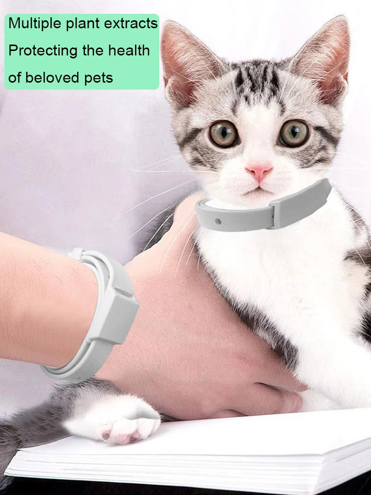 Pet collar, kitten flea collar, pet external deworming ring, flea ring