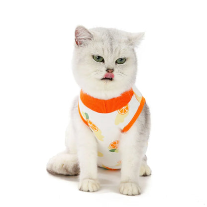 Cat Recovery Suit Kitten Suit E-Collar Alternative for Cats Puppies Small Dogs Abdominal Skin Anti Licking Pajamas Pet Clothing