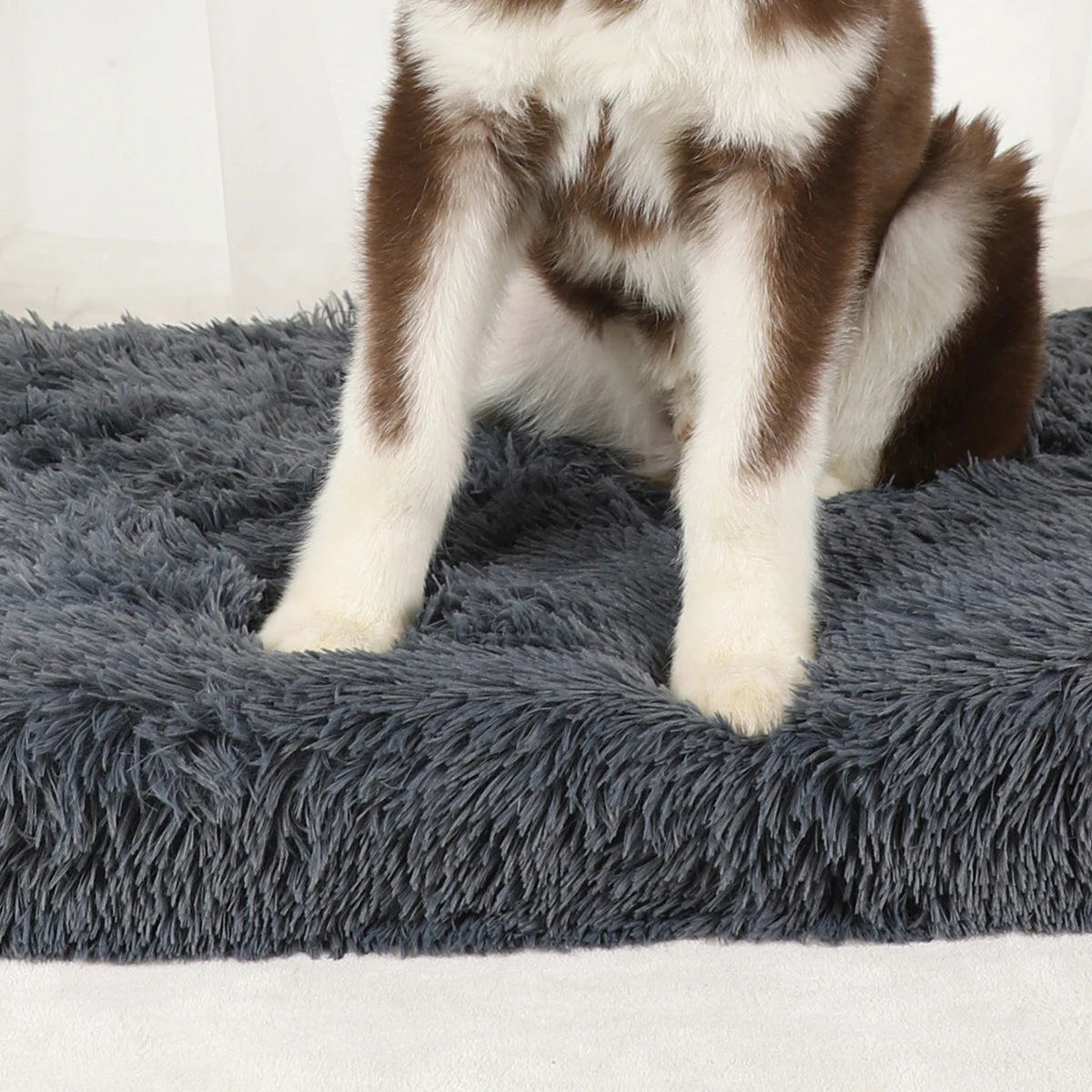 Dog Mat Fluffy Bed Cushion Accessory Supplies Pets Dogs Accessories Basket Baskets Big Small Pet Products Large Beds Sofa Cats