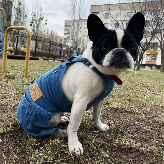 Dog Jeans Jumpsuit for Small Medium Large Dogs Adjustable Pet Denim Clothes Costumes Vintage Washed Dog Pants Overall for Dogs