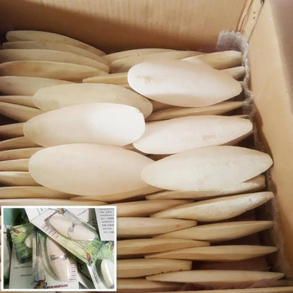 10pcs Cuttlefish Bone For Birds Natural Cuttlefish Bone Parrot Chewing Cuttle Bone Health Supplies Cuttlefish Bone Bird Food
