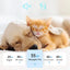 4-In-1 Pet Grooming And Care Set 4Different Blades Pet Hair Shaver Low Noise Pet Clippers Rechargeable Cordless Safe Dog Trimmer