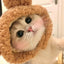 Personalized Animal Small Dog Hat Warm New Year Cosplay Accessories for Cats Snapper Bear French Bulldog Pet Supplies Head Gear