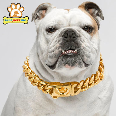 Stainless Steel 18K Gold Dog Collar, Wide Pet Choker, Metal Dog Necklace, Pet Supplies, Accessories for Dogs, 14mm