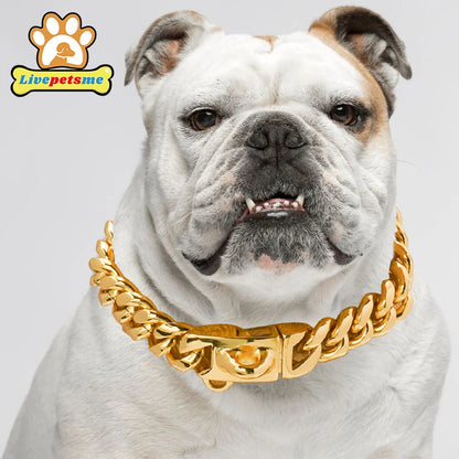 Stainless Steel 18K Gold Dog Collar, Wide Pet Choker, Metal Dog Necklace, Pet Supplies, Accessories for Dogs, 14mm