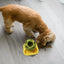Dog Treat Dispenser Ball Toys Interactive Dog Dispenser Ball for Treats Dog Treat Ball Food Dispensing Toy Puppy Training toys