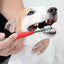 Double Head Pet Toothbrush Cat Dog Pet Cleaning Toothbrush Safe Food Grade Material Non-irritating Soft Hair Maintain Pet Oral H